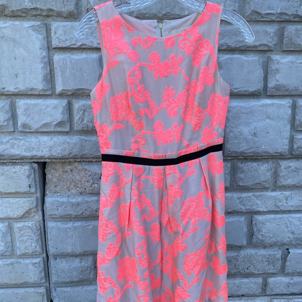 Loft Cream & Pink Dress